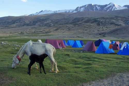 TREKKING IN LADAKH | CHANGTANG 2017